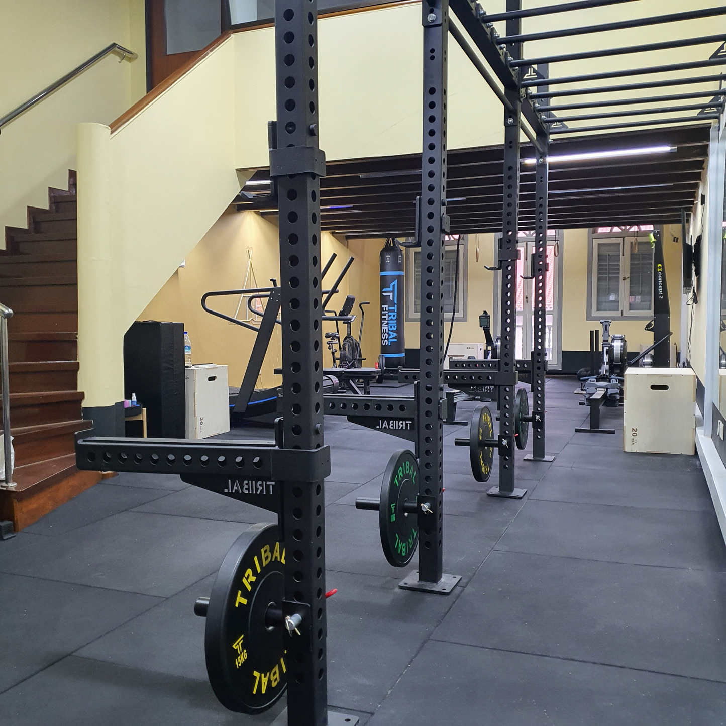 Weight Plate Pin Attachment (Sold in Pairs)