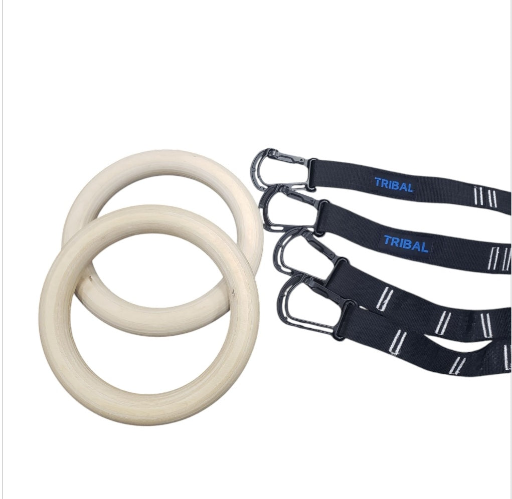 Gymnastic Ring