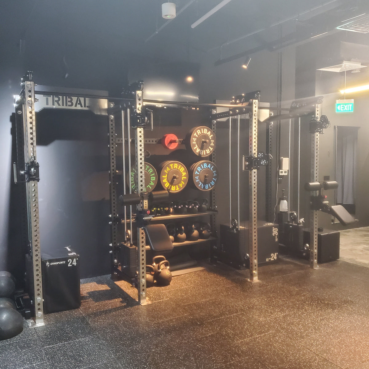 Custom Fitness Rig