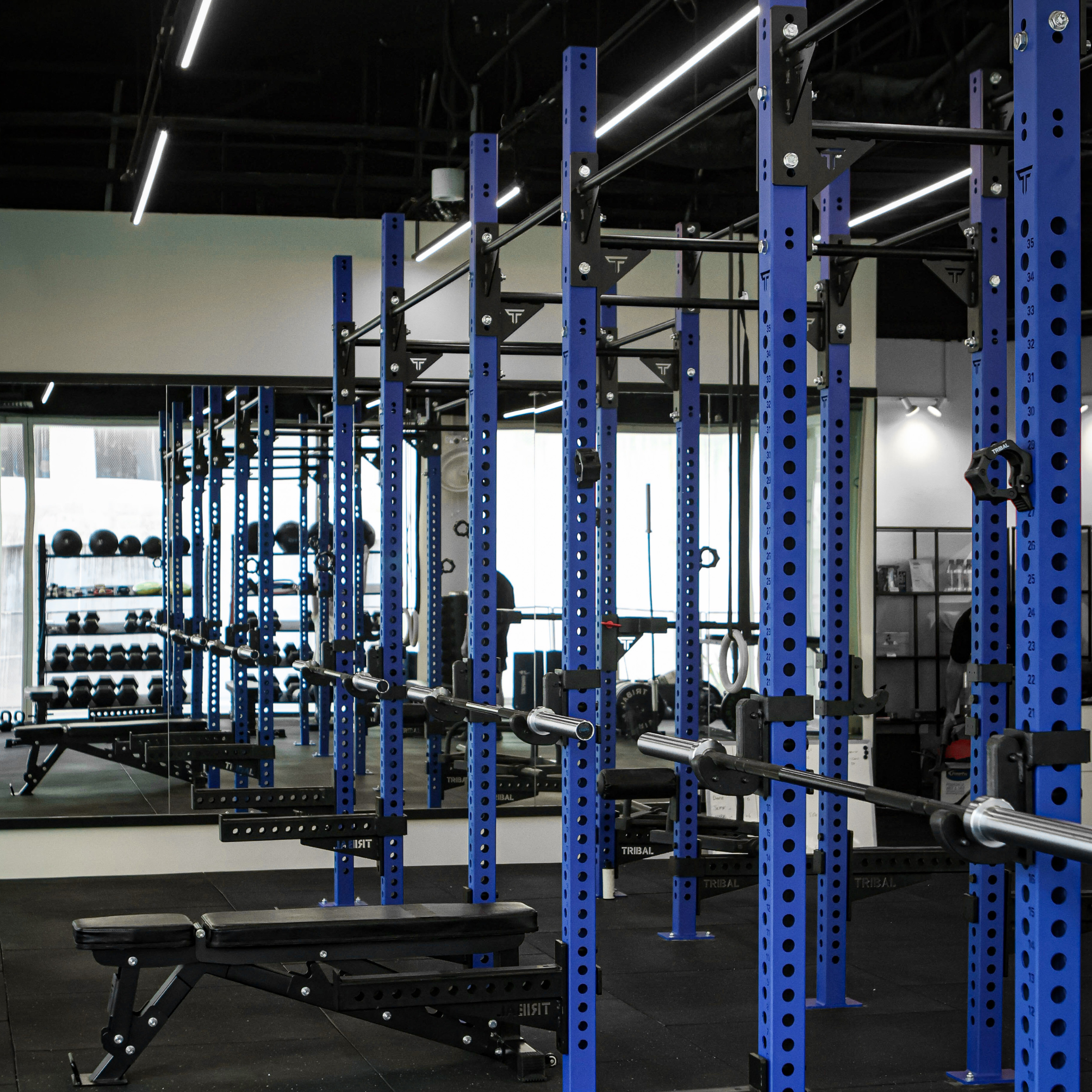 Custom Workout Rigs Custom Fitness Rig – Tribal Fitness Singapore
