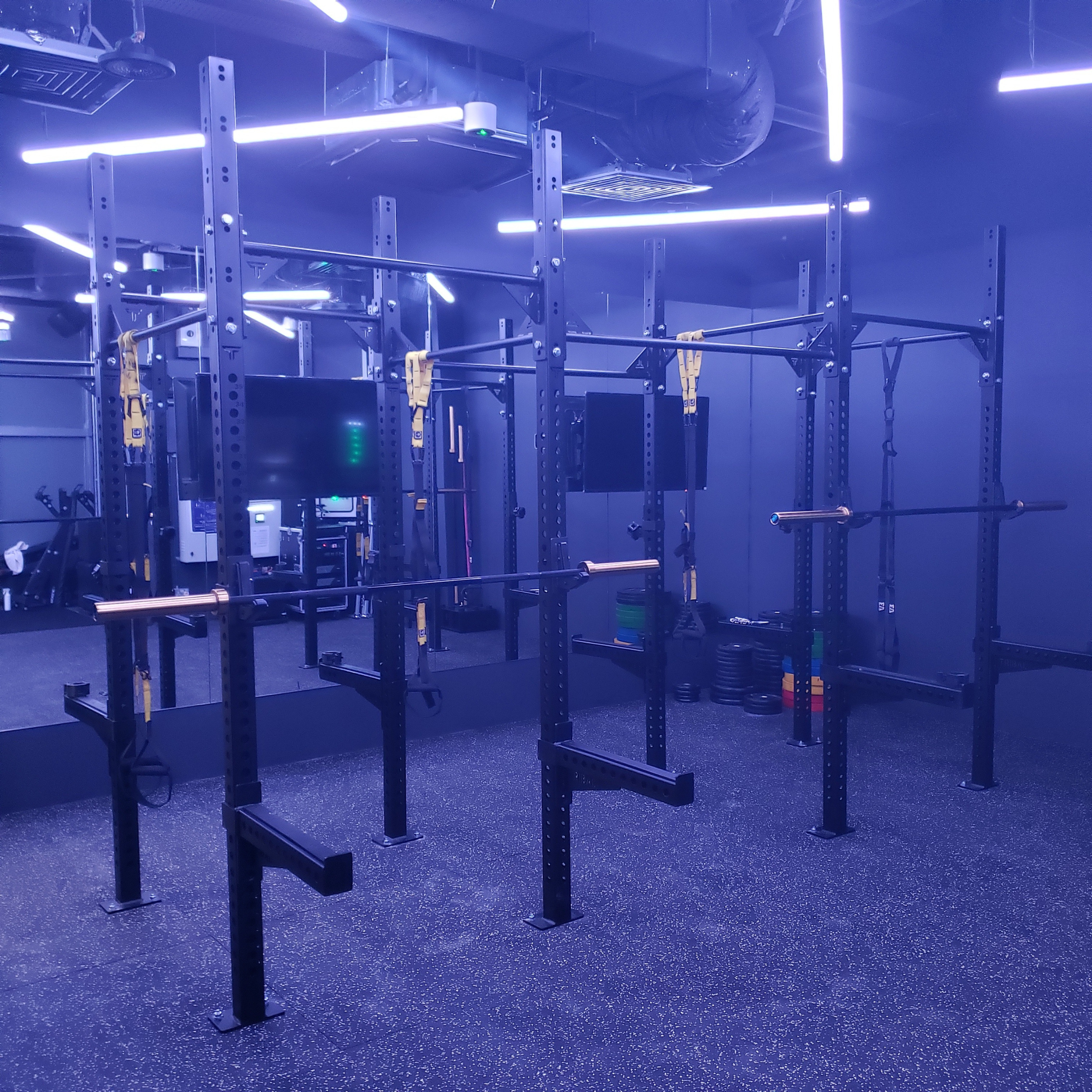 Custom Rigs Gym Custom Fitness Rig – Tribal Fitness Singapore
