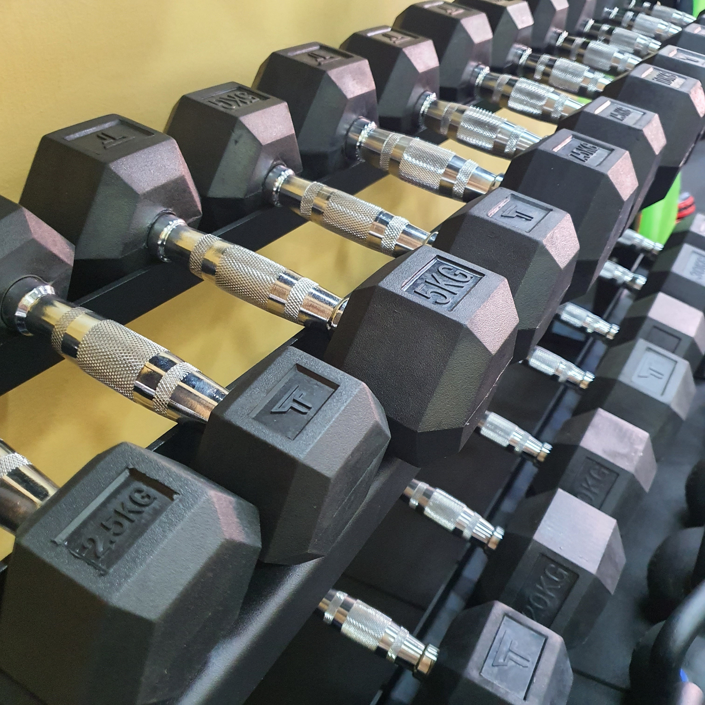 Hex Dumbbell (SOLD IN PAIRS)